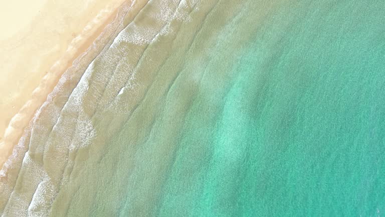 imagen en miniatura de vídeo