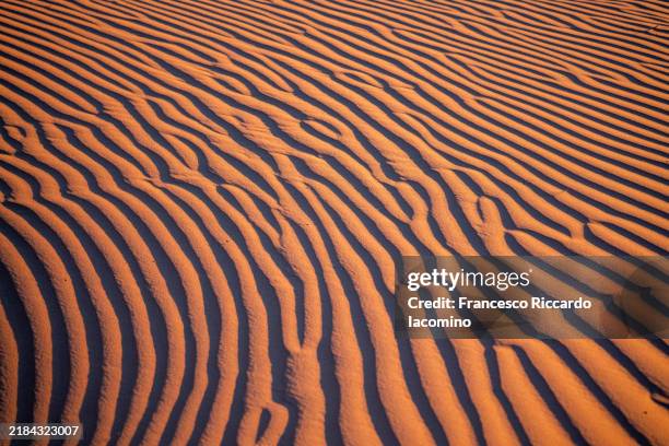 sahara desert pristine sand dunes texture - african patterns stock pictures, royalty-free photos & images