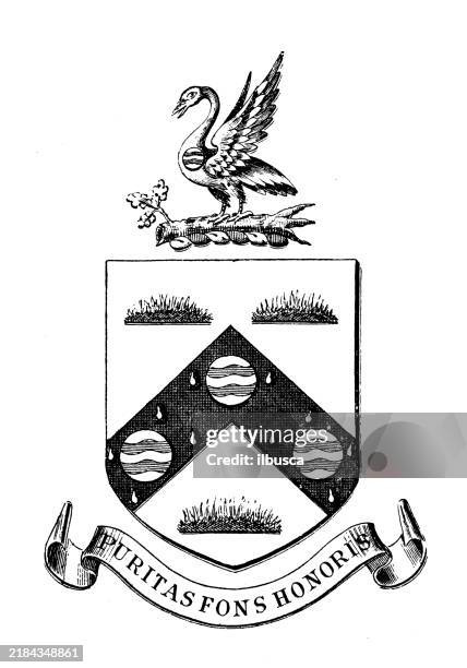 wappenwappen: thomas hardcastle sykes - schwan stock-grafiken, -clipart, -cartoons und -symbole