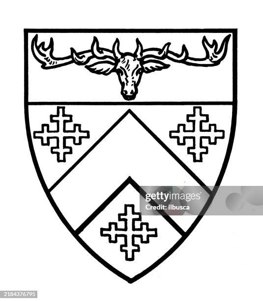 heraldry coat of arms emblem: john wakely - knight flag stock illustrations