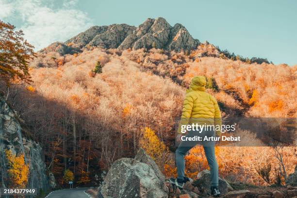 man in yellow puffer jacket immersed in the nature with autumn gold colors - white hoodie back stock pictures, royalty-free photos & images