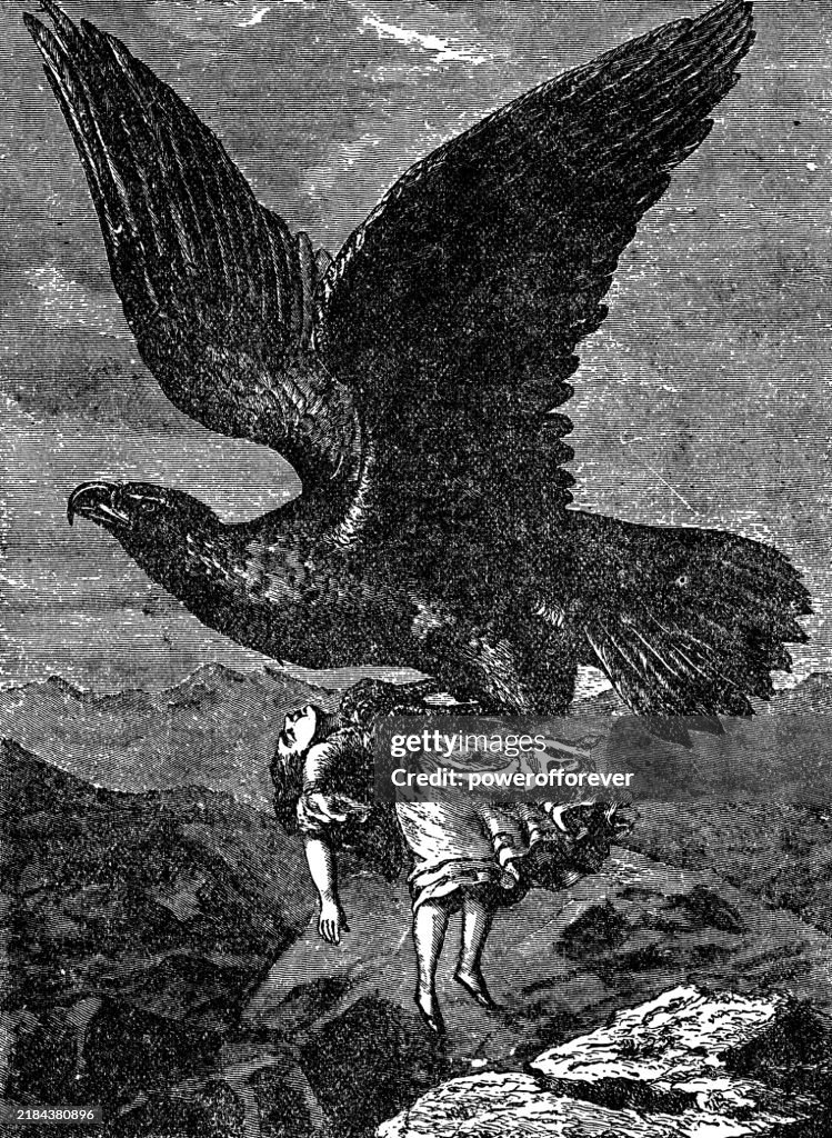 Urban Legend Myth Of Eagle Carrying Off A Young Child 19th Century High urban-legend-myth-of-eagle-carrying-off-a-young-child-19th-century-high