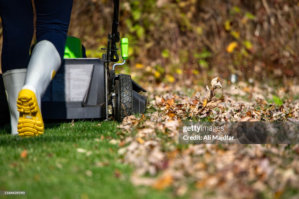 Lawn Mower over Autumn Leaves