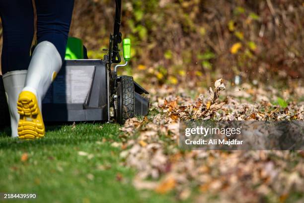 lawn mower over autumn leaves - segadora fotografías e imágenes de stock
