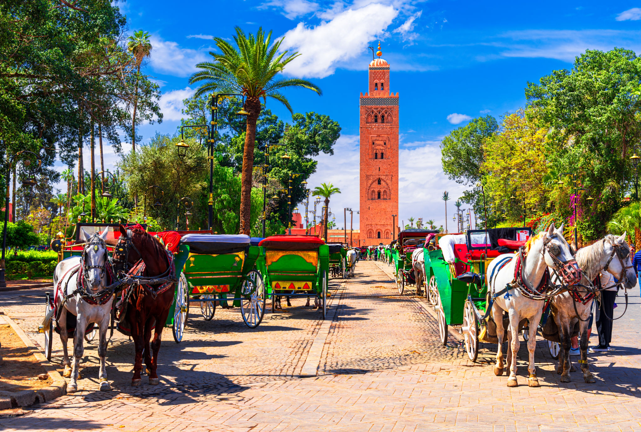 jemaa el-fnaa