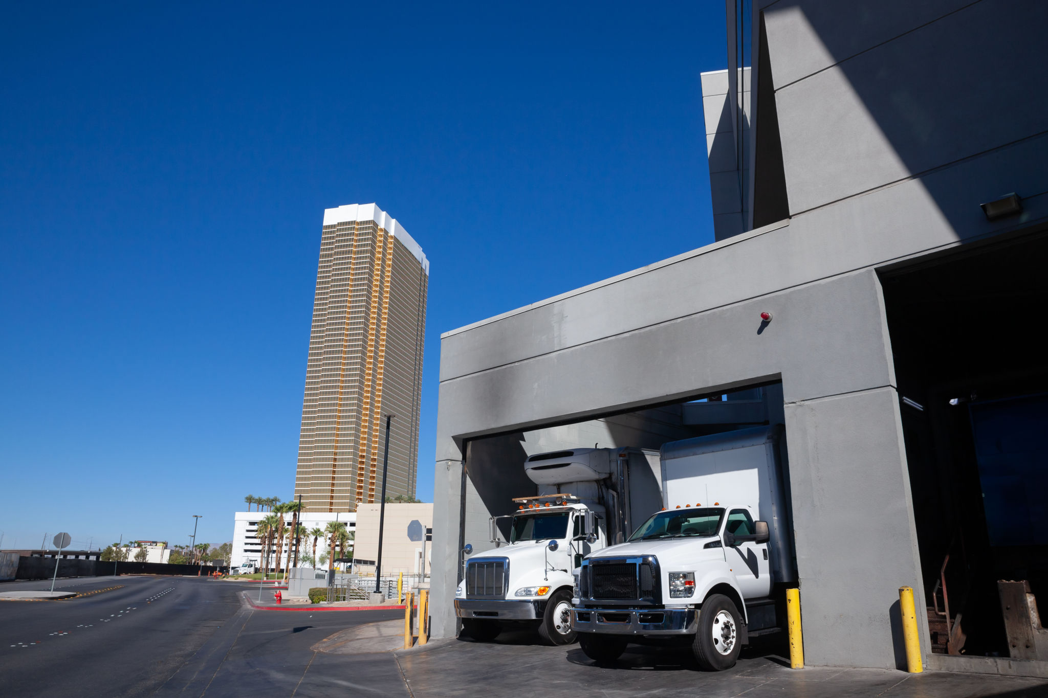 las vegas fleet