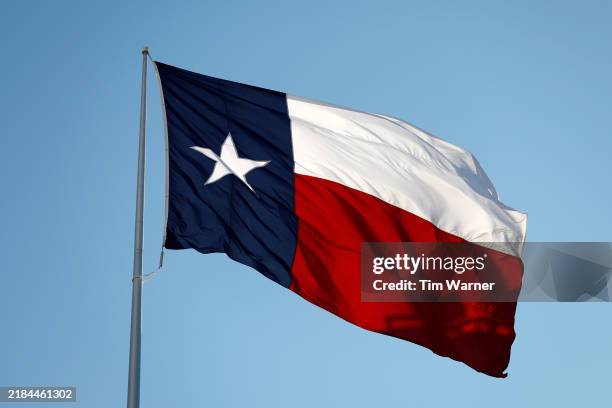 Texas State Flag is seen during the game between the Texas Longhorns and the Florida Gators at Darrell K Royal-Texas Memorial Stadium on November 09,...