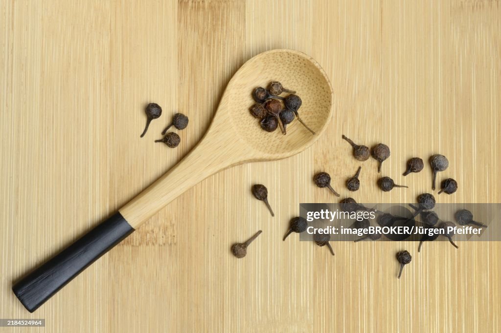Cubeb pepper, peppercorns in wooden spoon, Piper cubeba
