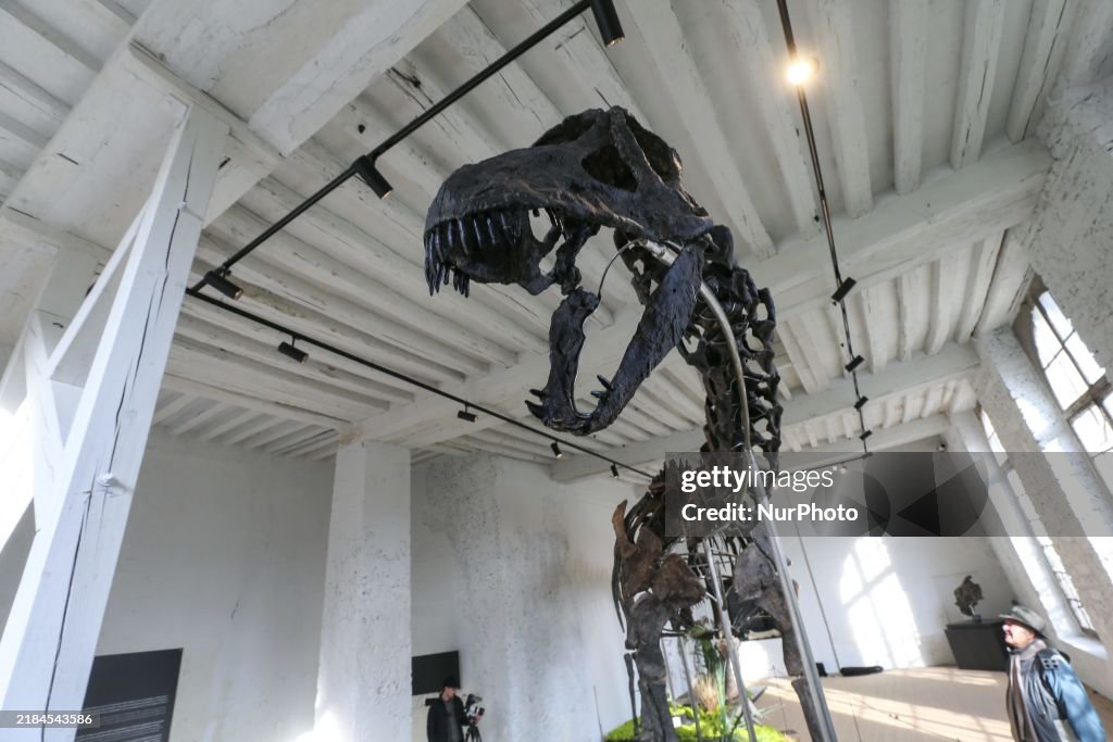 A Dinosaur Skeleton Reaches A Record Price In France