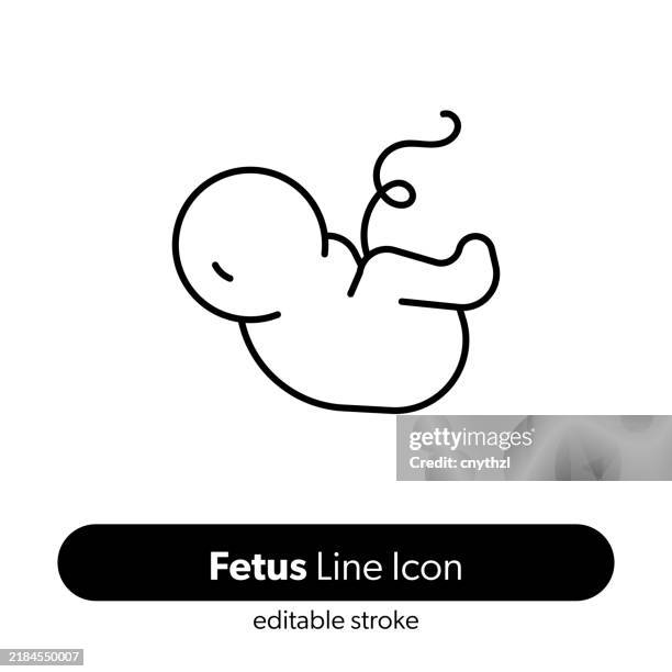 fetus line icon. editable stroke vector icon. - embryo stock illustrations