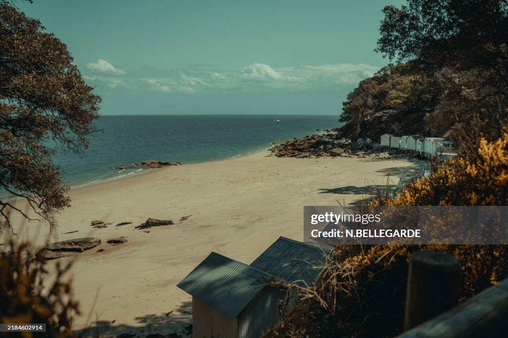 Noirmoutier Beach with Vegetation, France
