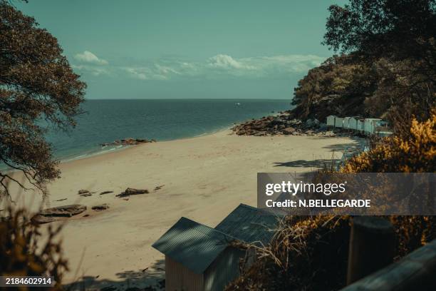 noirmoutier beach with vegetation, france - noirmoutier stock pictures, royalty-free photos & images
