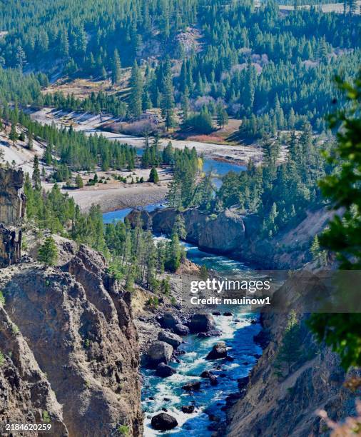 tower-roosevelt et le parc national du nord-est de yellowstone - yellowstone photos et images de collection