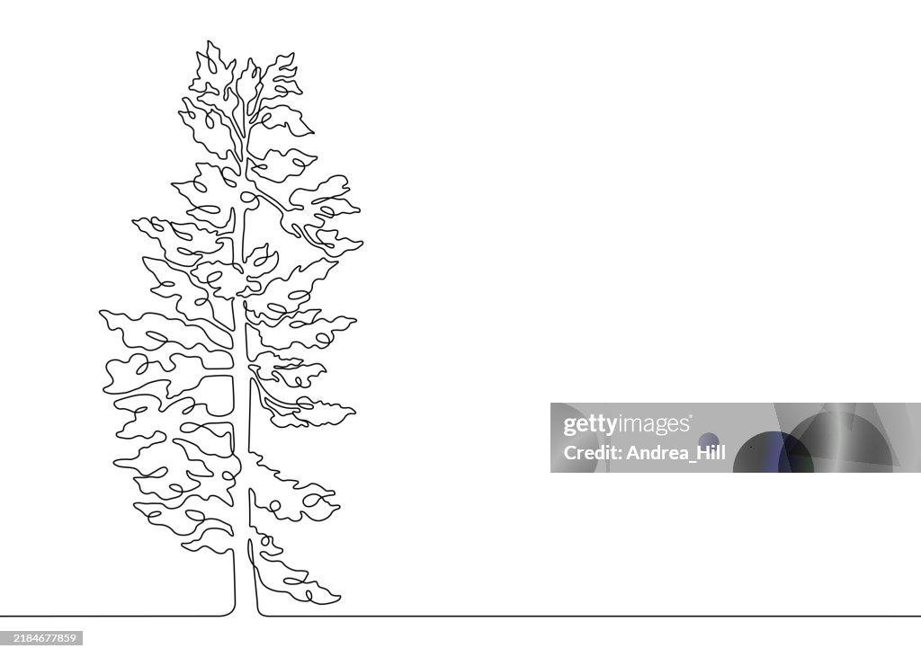 Pine Tree Continuous Line Drawing with Editable Stroke and Copy Space