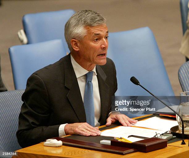 Sergio Viera de Mello, Secretary General Kofi Annan 's envoy to Iraq, speaks at the U.N. Security Council meeting at the United Nations headquarters...