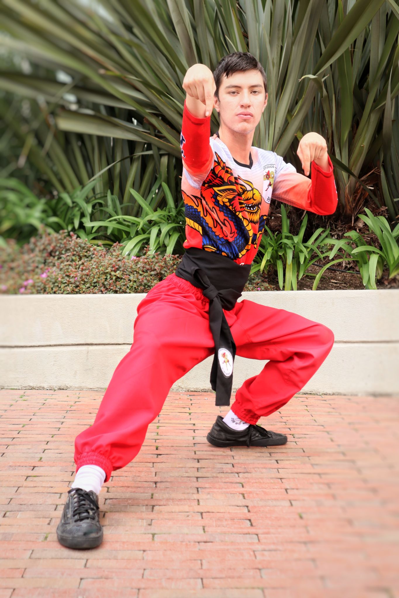 Artist in a Kung fu fighting stance. Artist in a Kung fu fighting stance.