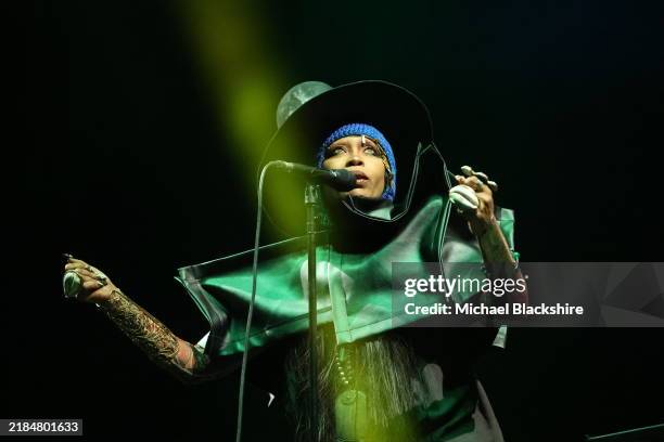 Los Angeles, CA Erykah Badu performs at Camp Flog Gnaw on Sunday, Nov. 17, 2024 in Los Angeles, CA.