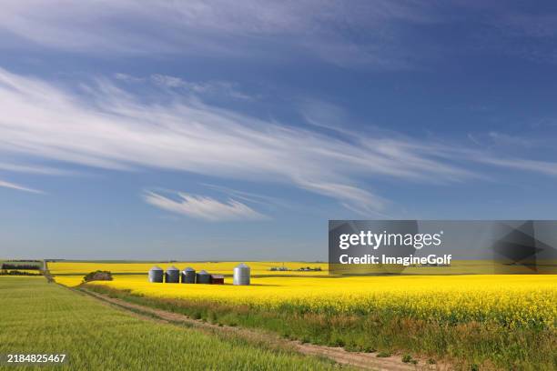 rural alberta scenic - prairie stockfoto's en -beelden