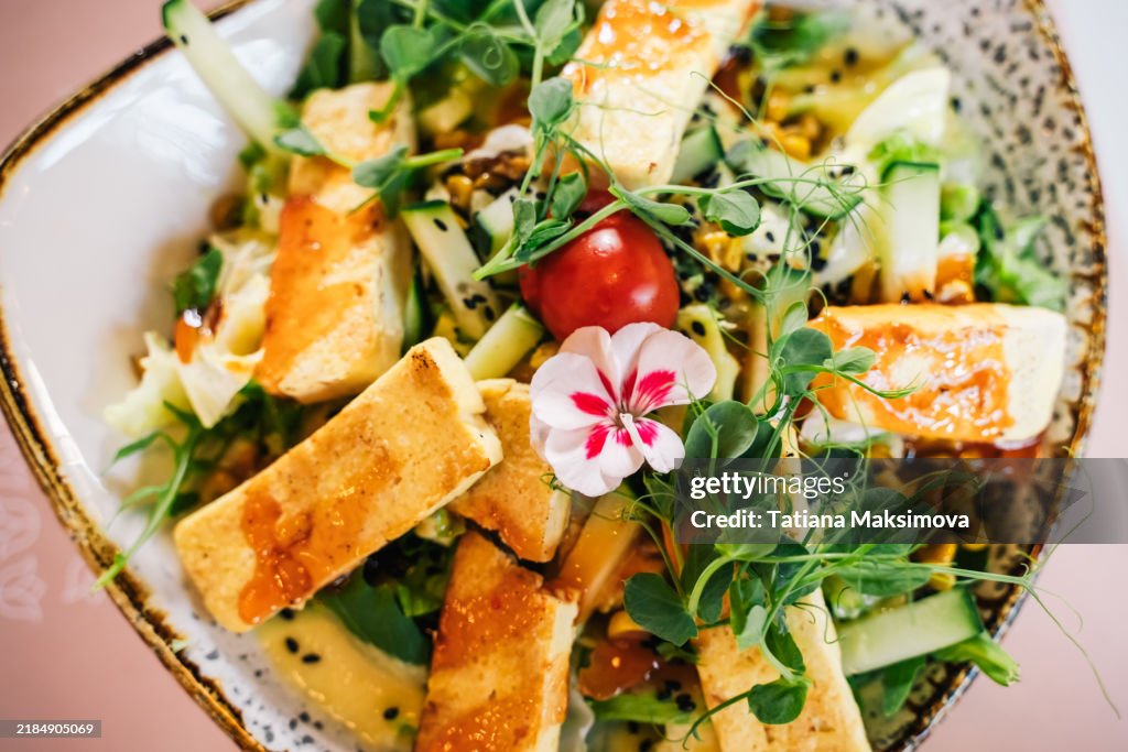 A vibrant salad is artfully presented with grilled tofu and fresh greens creating a refreshing, colorful dish.