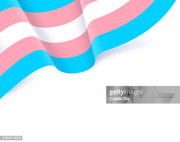 transgender pride flag design element - transgender symbol stock illustrations