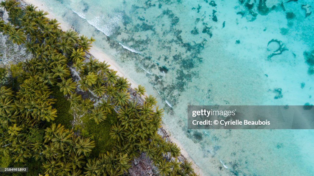 Aerial Paradise: Isla Saona from Above