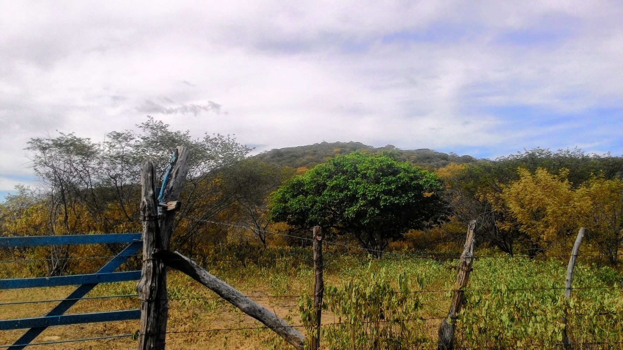 corralito paisaje