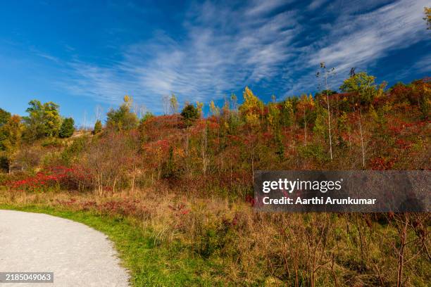 evergreen brickworks trail in fall - construction material stock pictures, royalty-free photos & images