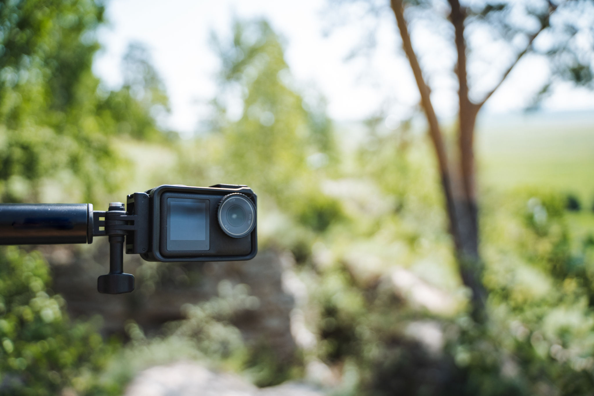 wildlife filming