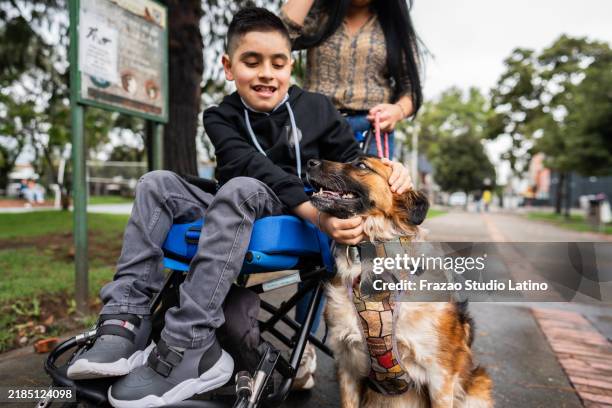 child boy with physical disability petting dog outdoors - service animal stock pictures, royalty-free photos & images