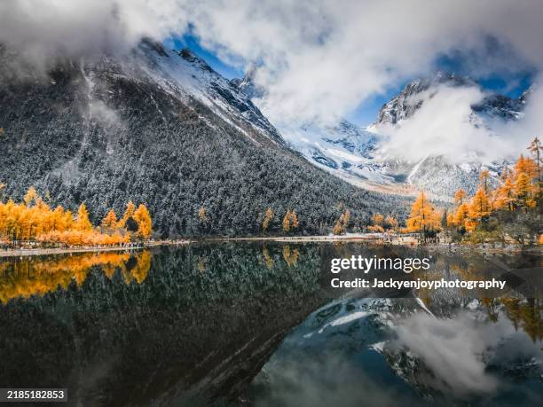 an aerial photograph shows bipenggou, china's fall woodland covered with snow - graubunden canton stock pictures, royalty-free photos & images