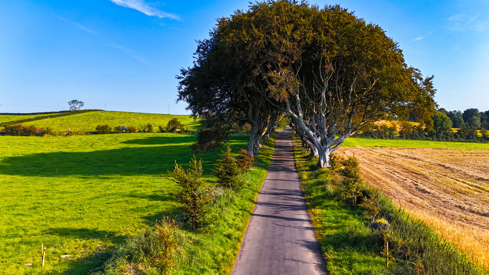 Scenic countryside road lined with trees in Europe. A tranquil road curves through lush green fields and towering trees under a bright blue sky in a European landscape. Scenic countryside road lined with trees in Europe. A tranquil road curves through lush green fields and towering trees under a bright blue sky in a European landscape.