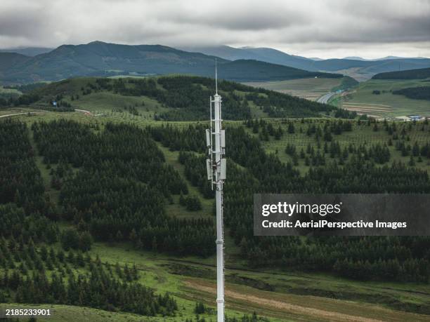5g cellular communications tower on forest and sky background - 5g mast stock pictures, royalty-free photos & images