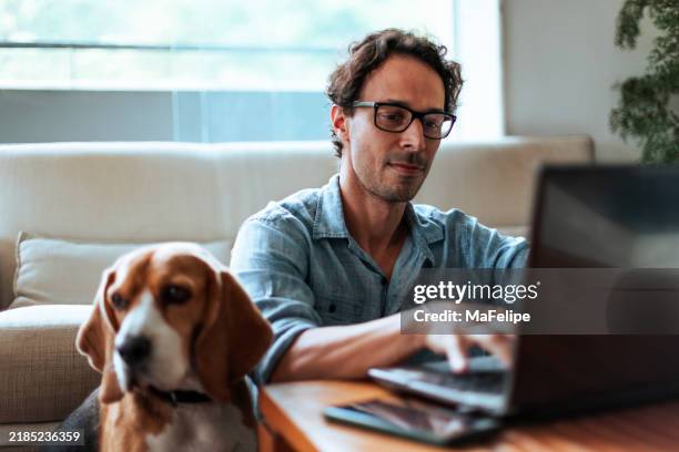 mid-aged man comfortably working at home sitting on the floor with his beagle dog by his side - huiselijk leven stockfoto's en -beelden