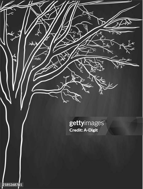 ilustraciones, imágenes clip art, dibujos animados e iconos de stock de arceárbolinviernopizarra - arte minimalista