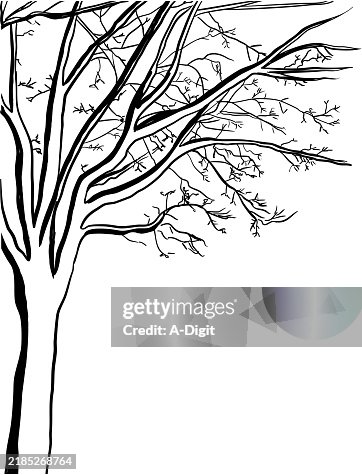 MapleTreeWinterInk MapleTreeWinterInk