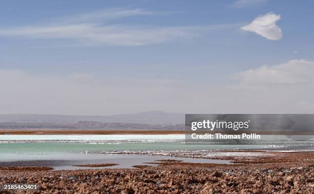 laguna tebinquiche in san pedro de atacama (atacama desert, chile) - atacama stock-fotos und bilder