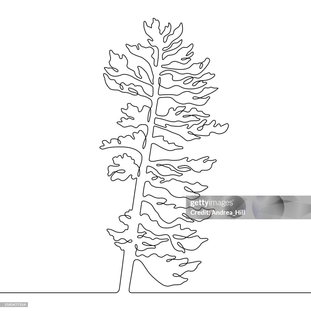 Pine Tree Continuous Line Drawing with Editable Stroke and Copy Space