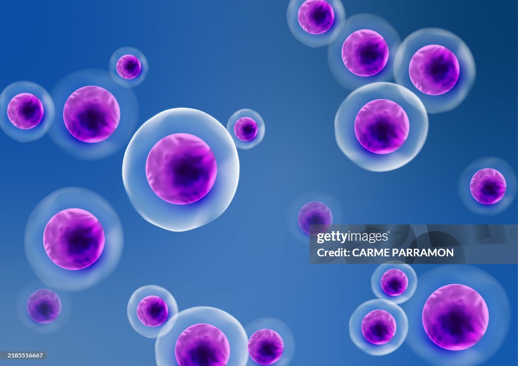 Cell Back Round Background Cells High-Res Vector Graphic - Getty Images