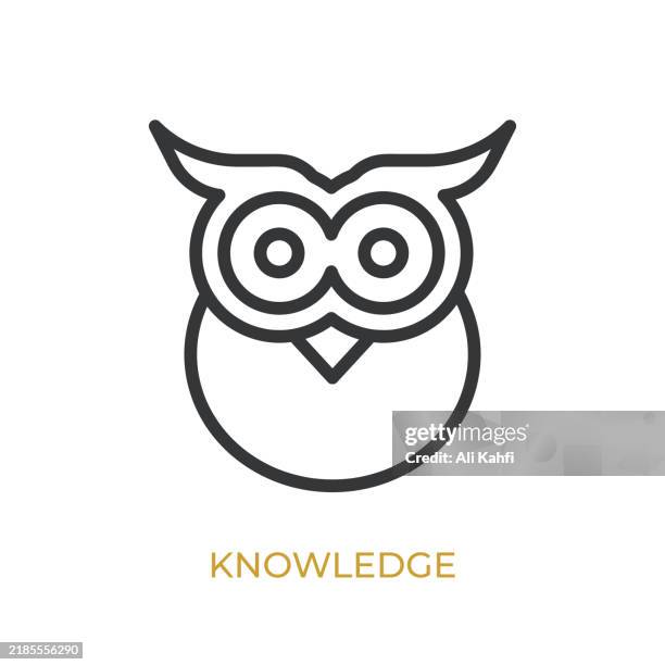 knowledge glyph line icon. thin line icon that can be applied anywhere, simple, pixel perfect and modern style - learning computer programming stock illustrations