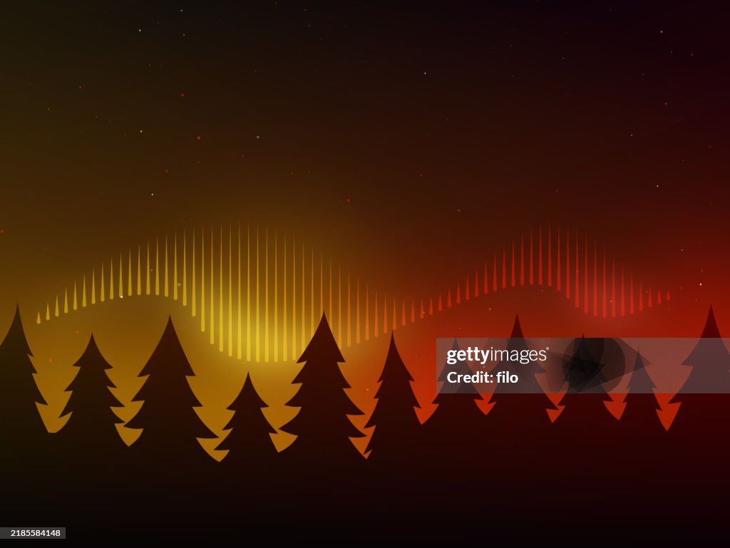 Northern Lights Aurora Borealis Pine Tree Background