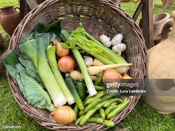 wicker basket with a mix of vegetables - selderij stockfoto's en -beelden