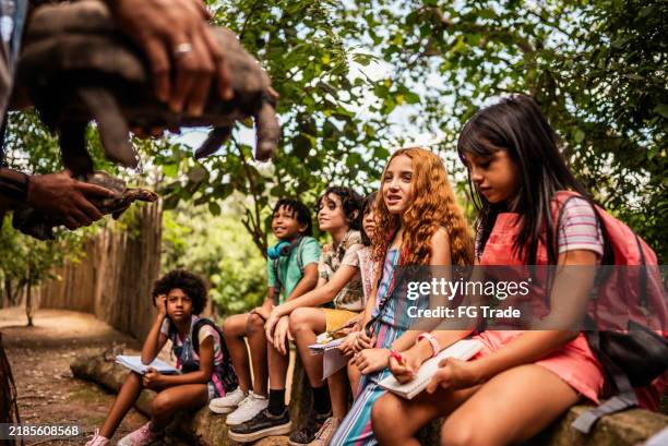 enfants lors d’une sortie scolaire dans un camp d’été - colonie de vacances photos et images de collection