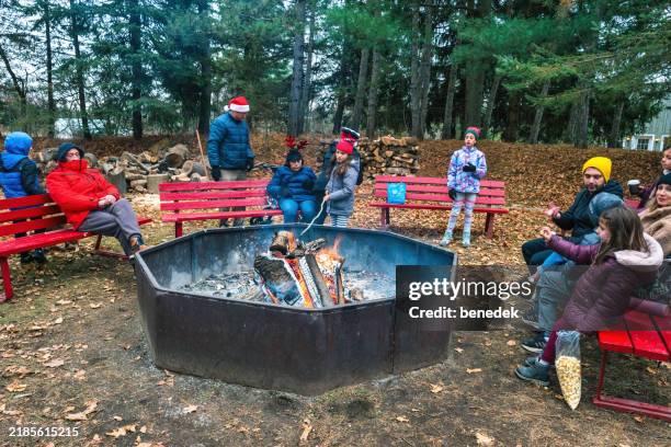 christmas tree farm family roasting marshmallows - barrie stock pictures, royalty-free photos & images