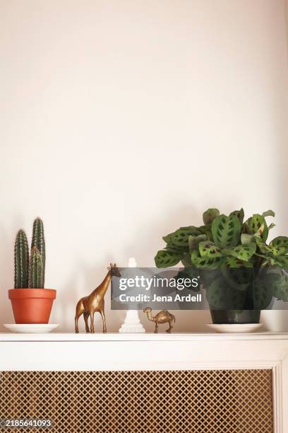 328 Nick Nack Shelf Stock Photos, High-Res Pictures, and Images - Getty ...