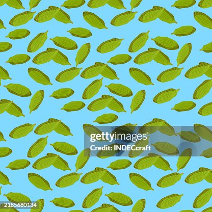 Cardamom seamless pattern Cardamom seamless pattern