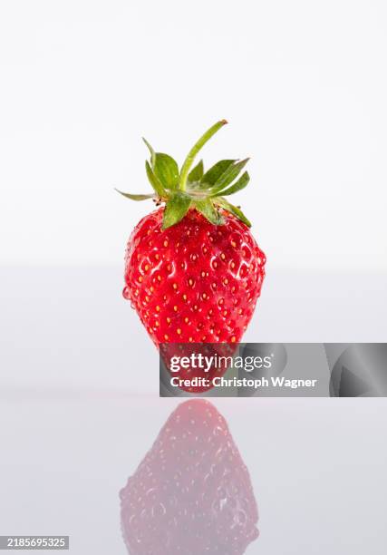 studio, erdbeere, spiegelung - strawberry shortcake stock pictures, royalty-free photos & images