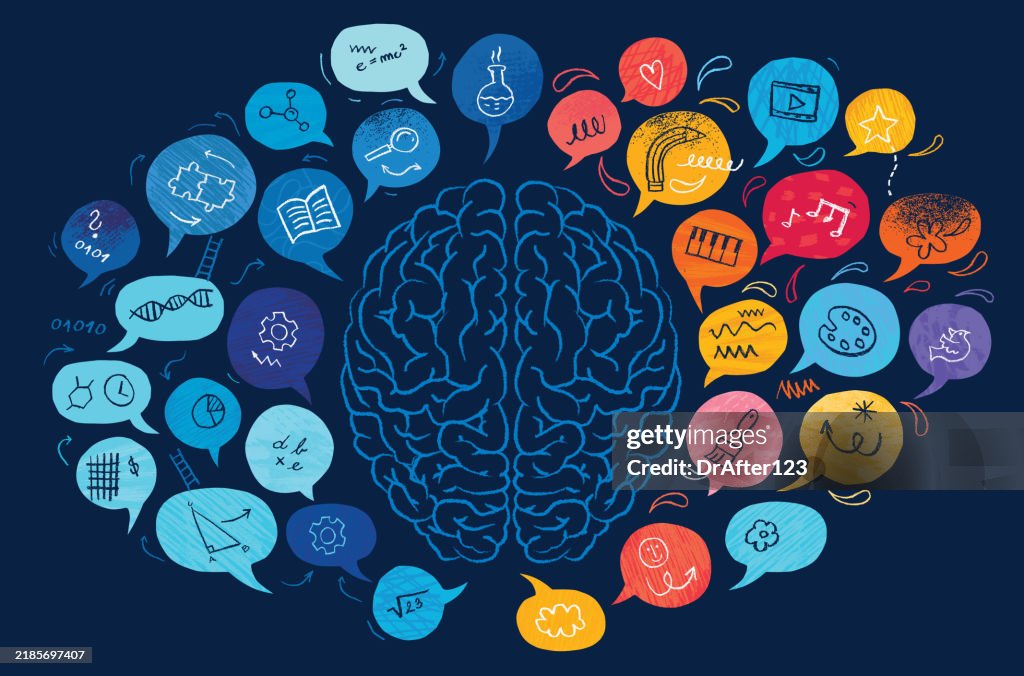 Left Vs Right Brain Hemispheres Concept