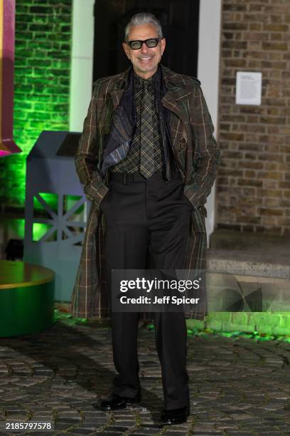 Jeff Goldblum attends the photocall for "Wicked: Part One" at the Greenwich Observatory on November 20, 2024 in London, England.