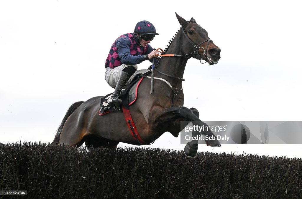 Punchestown Winter Festival - Day Two