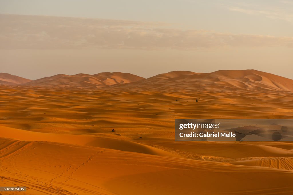 Sahara Rize Sunrise In The Sahara Desert High-Res Stock Photo - Getty Images